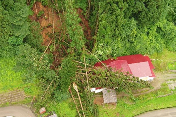 湯の沢地区（土砂災害）立木・土砂による家屋被害